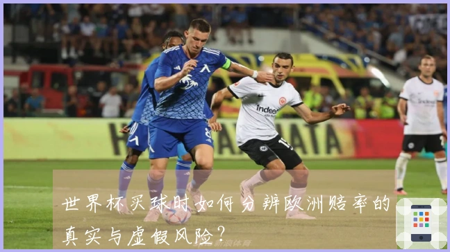 世界杯买球时如何分辨欧洲赔率的真实与虚假风险？