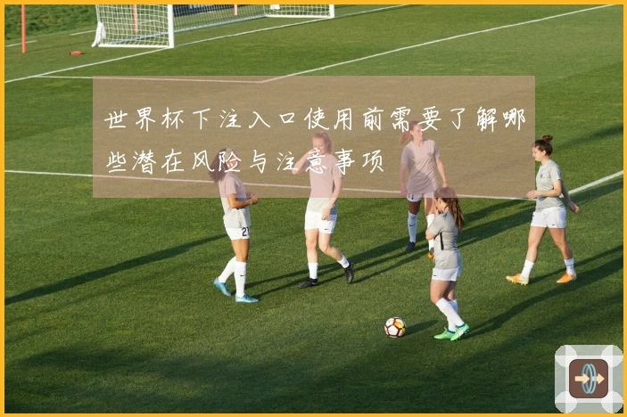世界杯下注入口使用前需要了解哪些潜在风险与注意事项