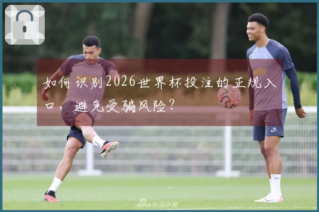 如何识别2026世界杯投注的正规入口，避免受骗风险？
