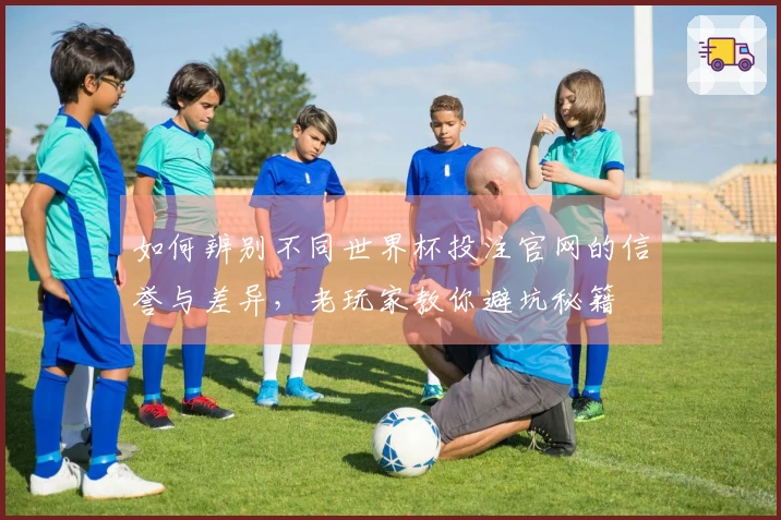 如何辨别不同世界杯投注官网的信誉与差异，老玩家教你避坑秘籍