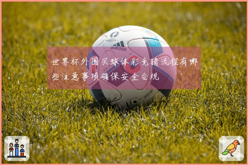 世界杯外围买球体彩竞猜流程有哪些注意事项确保安全合规