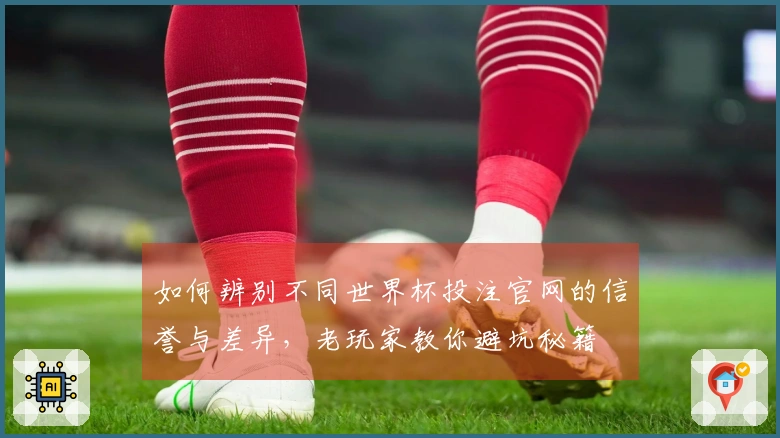 如何辨别不同世界杯投注官网的信誉与差异，老玩家教你避坑秘籍