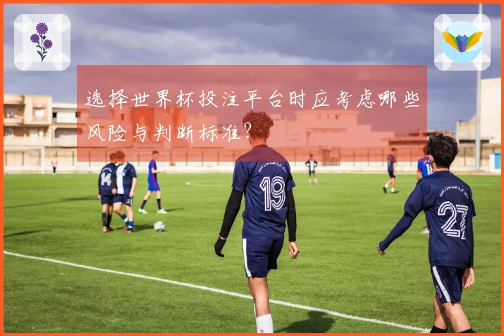 选择世界杯投注平台时应考虑哪些风险与判断标准？